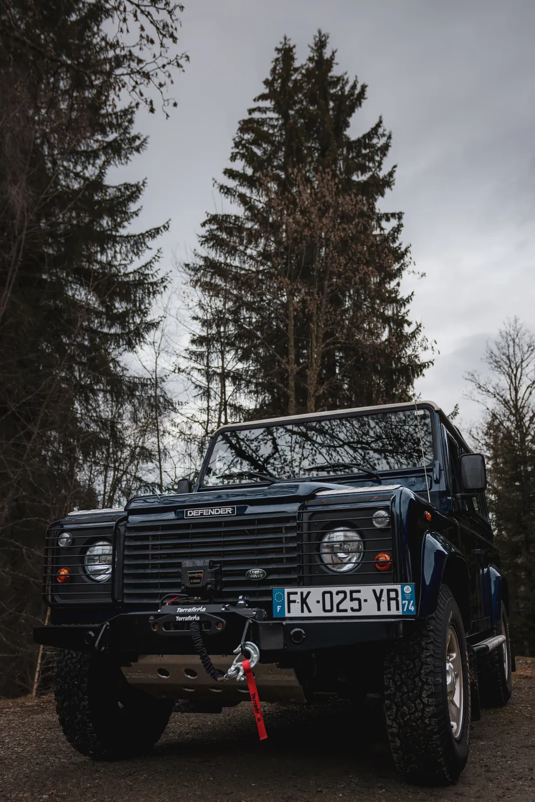 Photo - cactus-heart