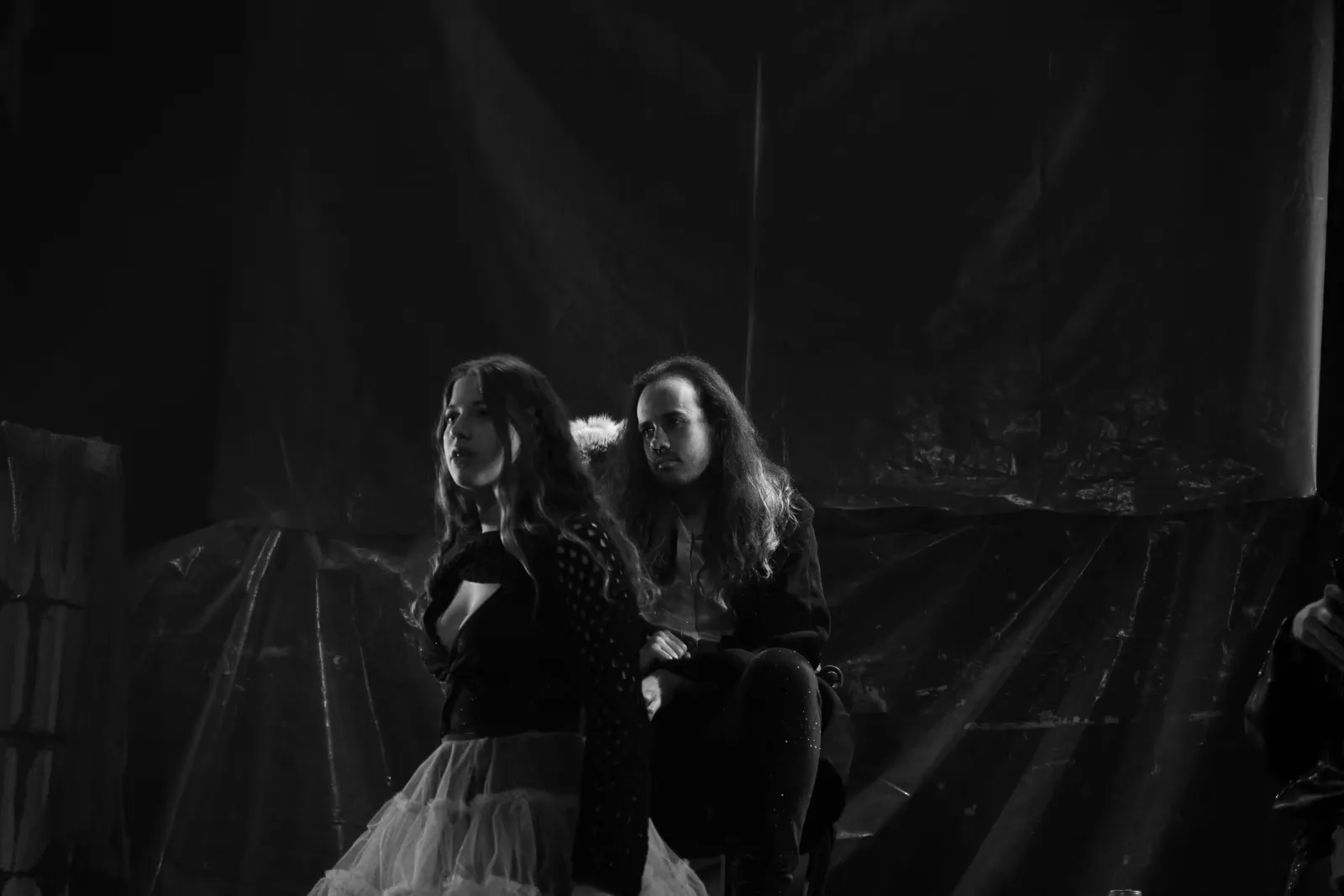 Agrandir l'image Photo - larev