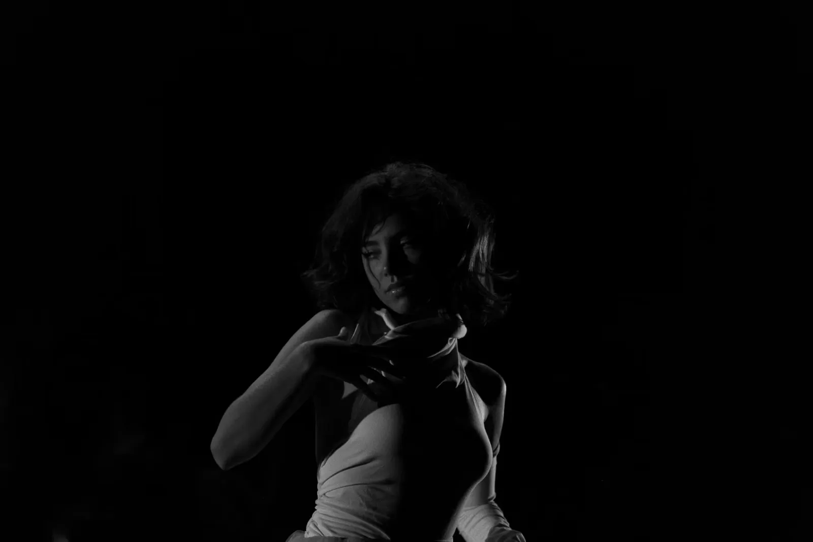 Agrandir l'image Photo - larev