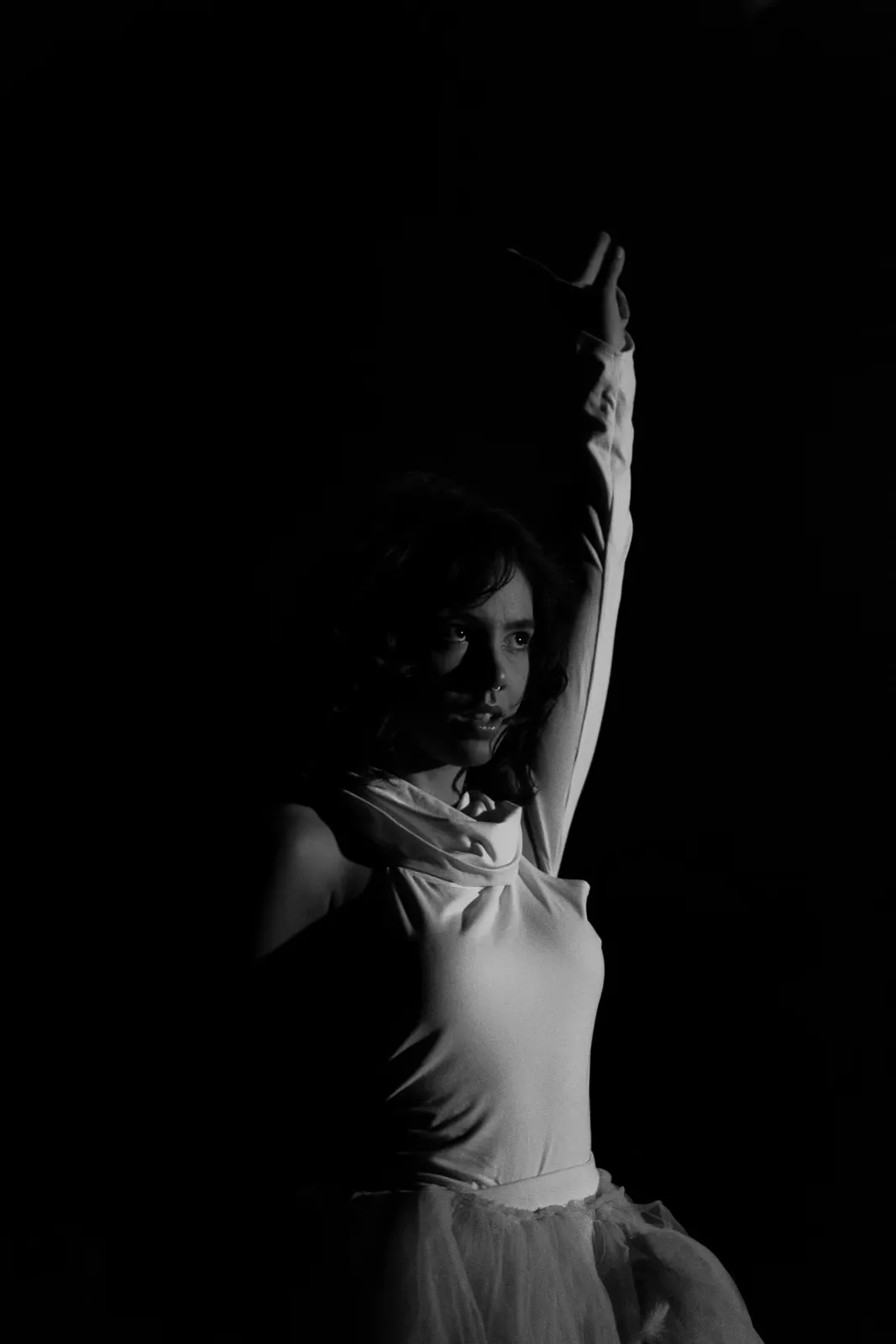 Agrandir l'image Photo - larev