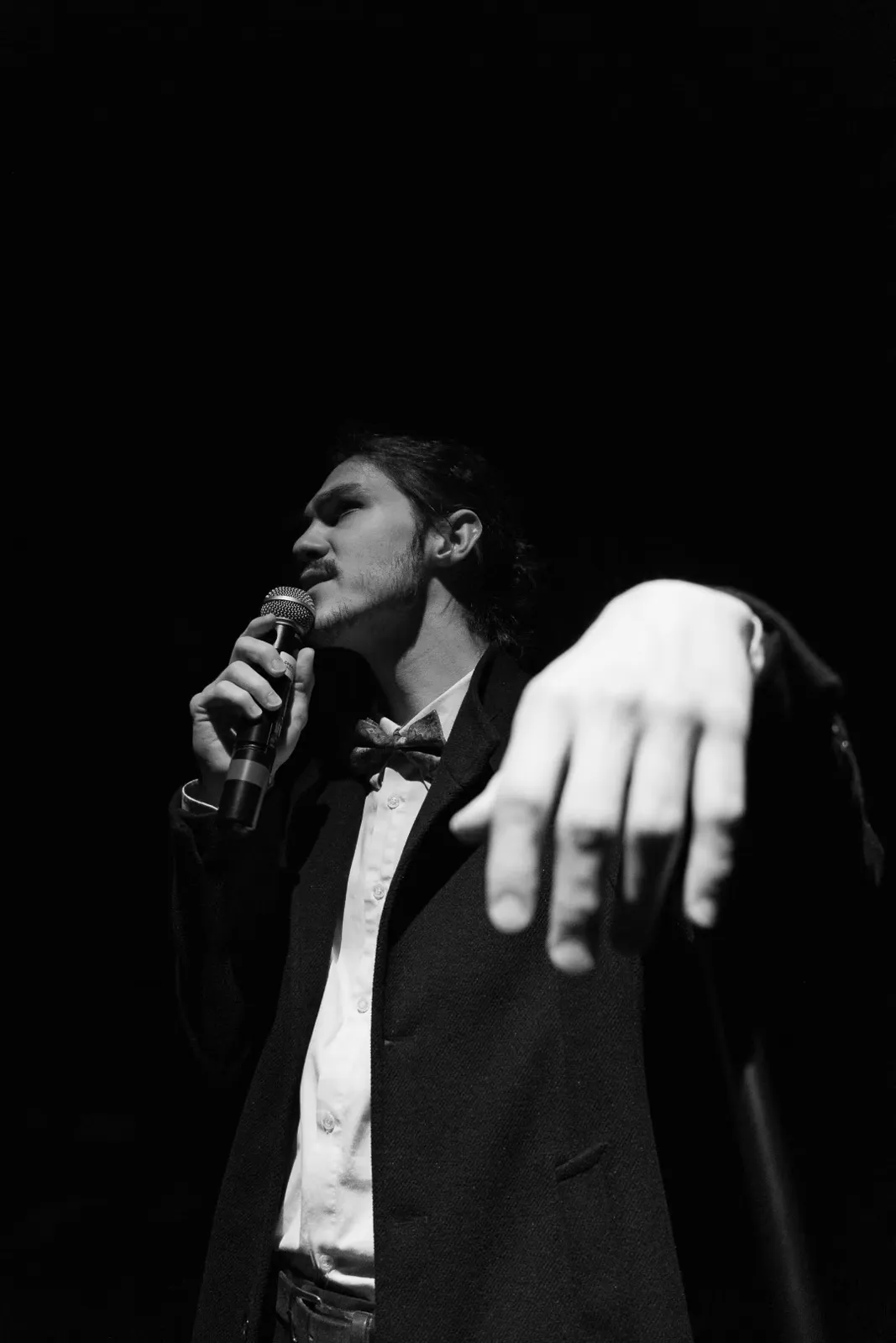 Agrandir l'image Photo - larev