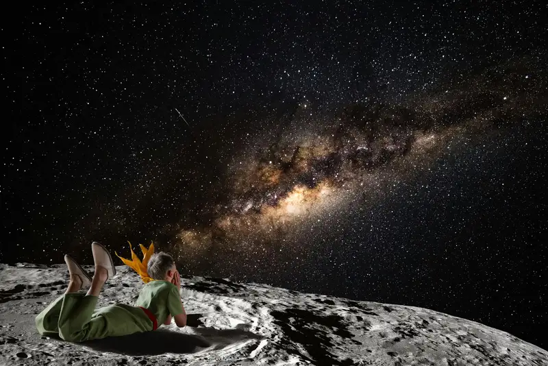 Le Voyage du Petit Prince | La Paternelle