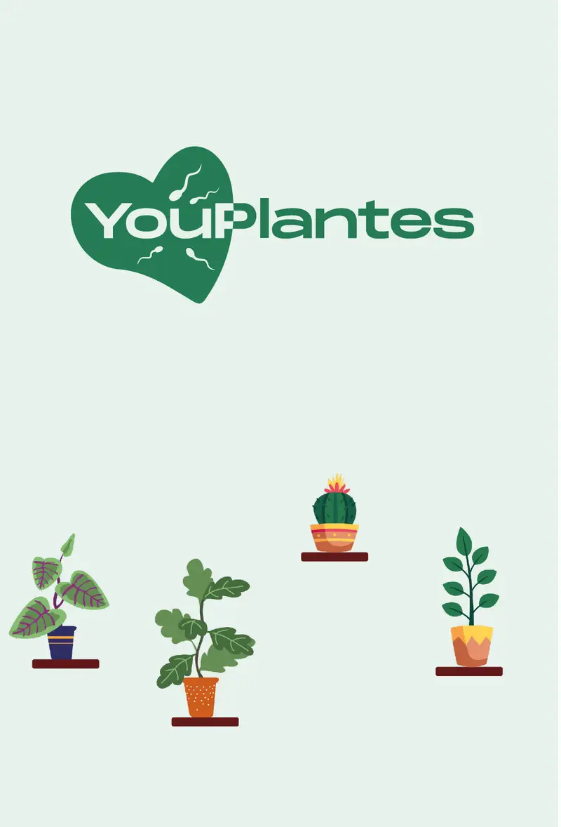 Stratégie & conception e-commerce pour la boutique YouPlantes